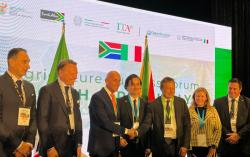 Accordo tra Camera di Commercio e Industria Italo-Sudafricana, SACE e SIMEST per sostenere l'internazionalizzazione delle imprese italiane