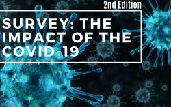 Survey The impact of the Covid-19