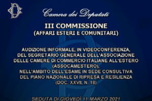 Audizione di Assocamerestero presso la Commissione Affari Esteri e Comunitari della Camera dei Deputati