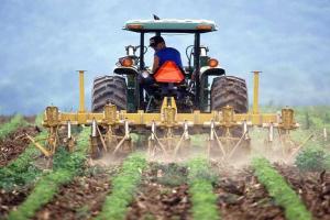 Venezuela - AVAT annuncia l'attivazione della piattaforma digitale per promuovere il commercio agroindustriale