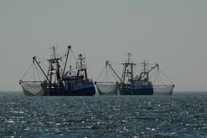 Il governo UK riforma il settore ittico post-Brexit