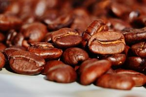 MG raccolto caffè 2024