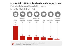 Soia, carne, caffè, succo d'arancia: ecco i prodotti di cui il Brasile è leader nell'export nel mondo