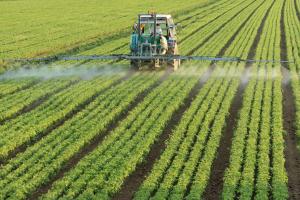 Agroindustria e tecnologia italiana nel sud del Brasile