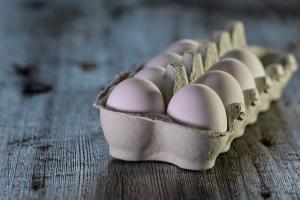 Le esportazioni di uova dal Brasile crescono del 93,1% nel 2023