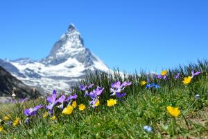 Turismo: sempre più stretta la collaborazione tra Svizzera e Italia