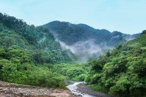 La Norvegia ha annunciato altri 245 milioni di R$ per il Fondo Amazzonia
