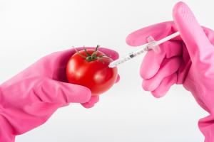 Lo sviluppo commerciale di alimenti geneticamente modificati sarà legale in Inghilterra