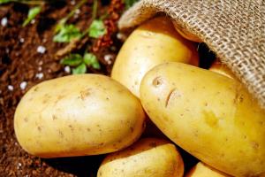 La Svizzera apre alle patate Made in Italy