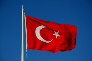 Turchia - Aggiornamento di maggio dei flussi in entrata degli investimenti esteri