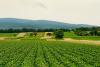 Le nuove sfide del settore agricolo in Svezia