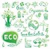 Il Lussemburgo sale nella classifica dell’ultimo Global Green Financial Index (GGFI 8)