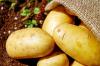 La Svizzera apre alle patate Made in Italy