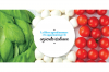 La filiera agroalimentare e le opportunità per le aziende italiane